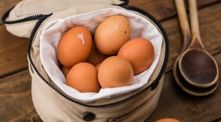 eggs happen food ecology 161496